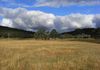 51 Mills Road, Molong