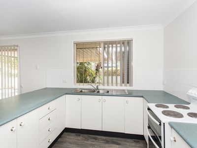 146 Coachwood Drive, Medowie