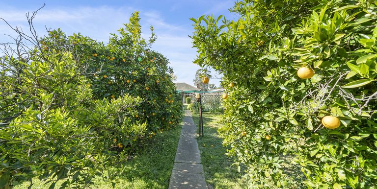 19 Gobur Street, Euroa
