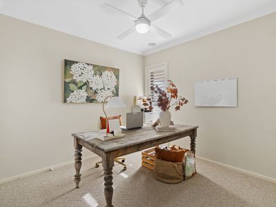 1 Malone Mews, Finley