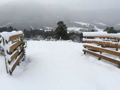 230 Fyfes Road, Mountain River