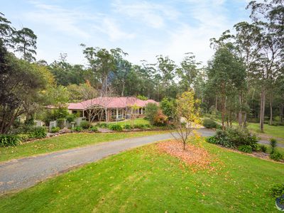 41 Finch Place, Bodalla