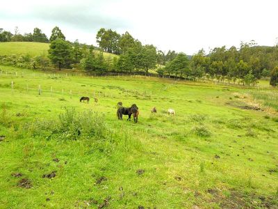 211 Middle Road, Pelverata