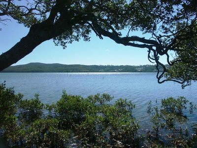 Lot 281 Green Point Road, Millingandi
