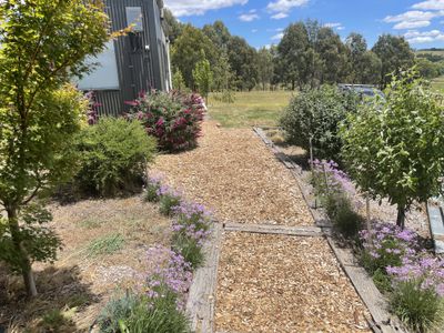 128 Wheeo Road, Grabben Gullen