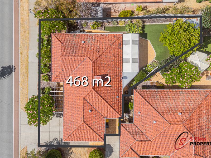 163 Rostrata Avenue, Willetton