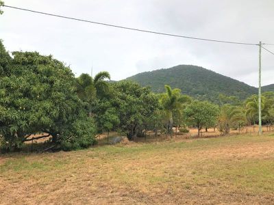 43 Howard Street, Cooktown