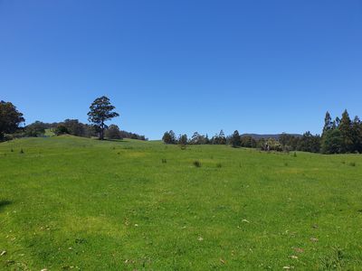Lot 1 (99 Acres), Coal Mine Road, Kaoota