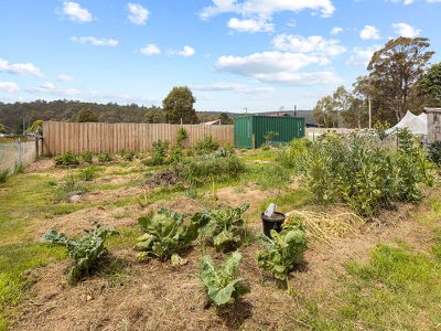 34 Schell Street, Rossarden