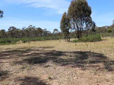 42 Ralstons Lane, Toolleen