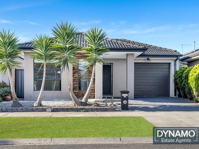 22 Black Wattle Road, Craigieburn