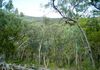 828 Mount Aquila Road, Mount Aquila