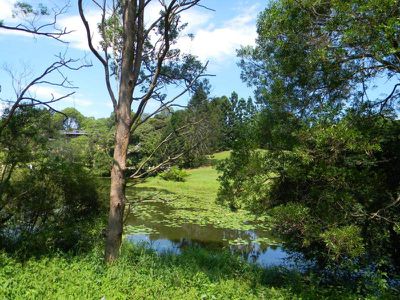 Maleny
