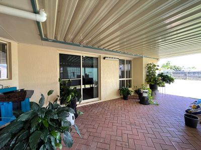 58 Bowerbird Avenue, Eli Waters