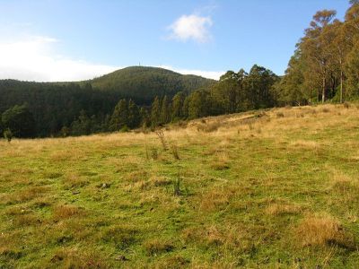 Halls Track Road, Pelverata