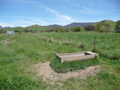 Tallangatta Creek Road, Tallangatta Valley
