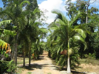 30 Schwartz Street, Cooktown