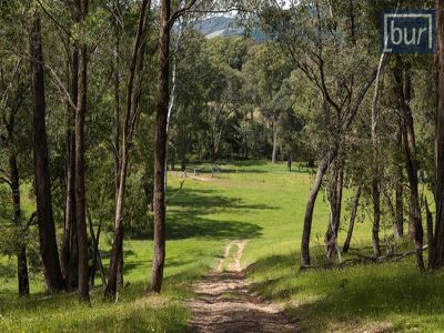 3143 Jingellic Road, Lankeys Creek