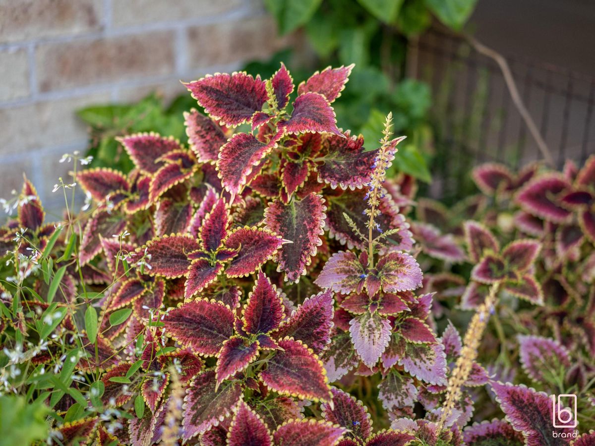 5 Leaf Place, Hamlyn Terrace