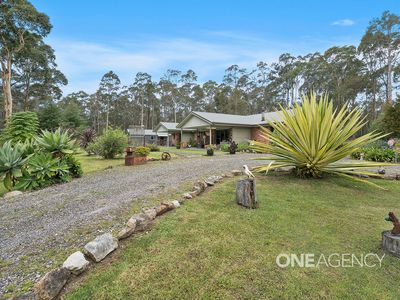 46 Eucalypt Lane, Tomerong