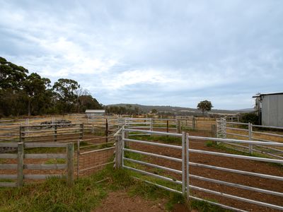 202 Dingo Flat Road, Tingledale