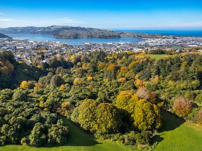 21 Harcourt Street, Belleknowes