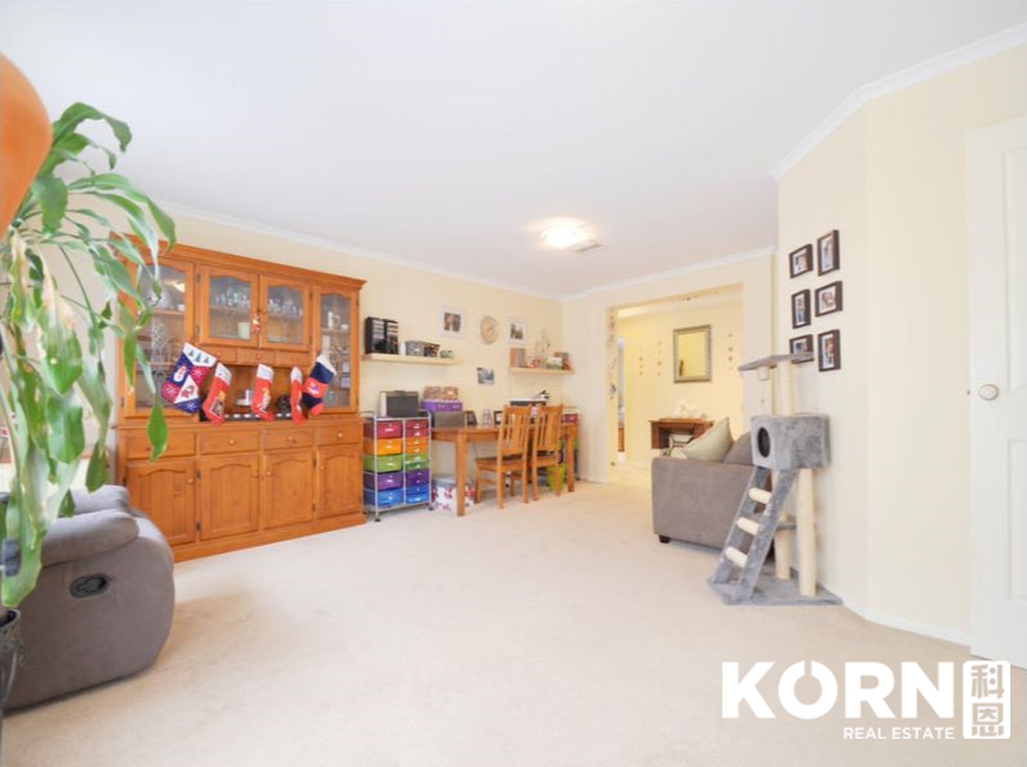 8 Rockingham Drive, Lightsview