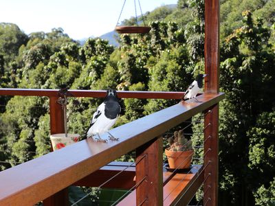 240 Stanger Road, Stony Chute