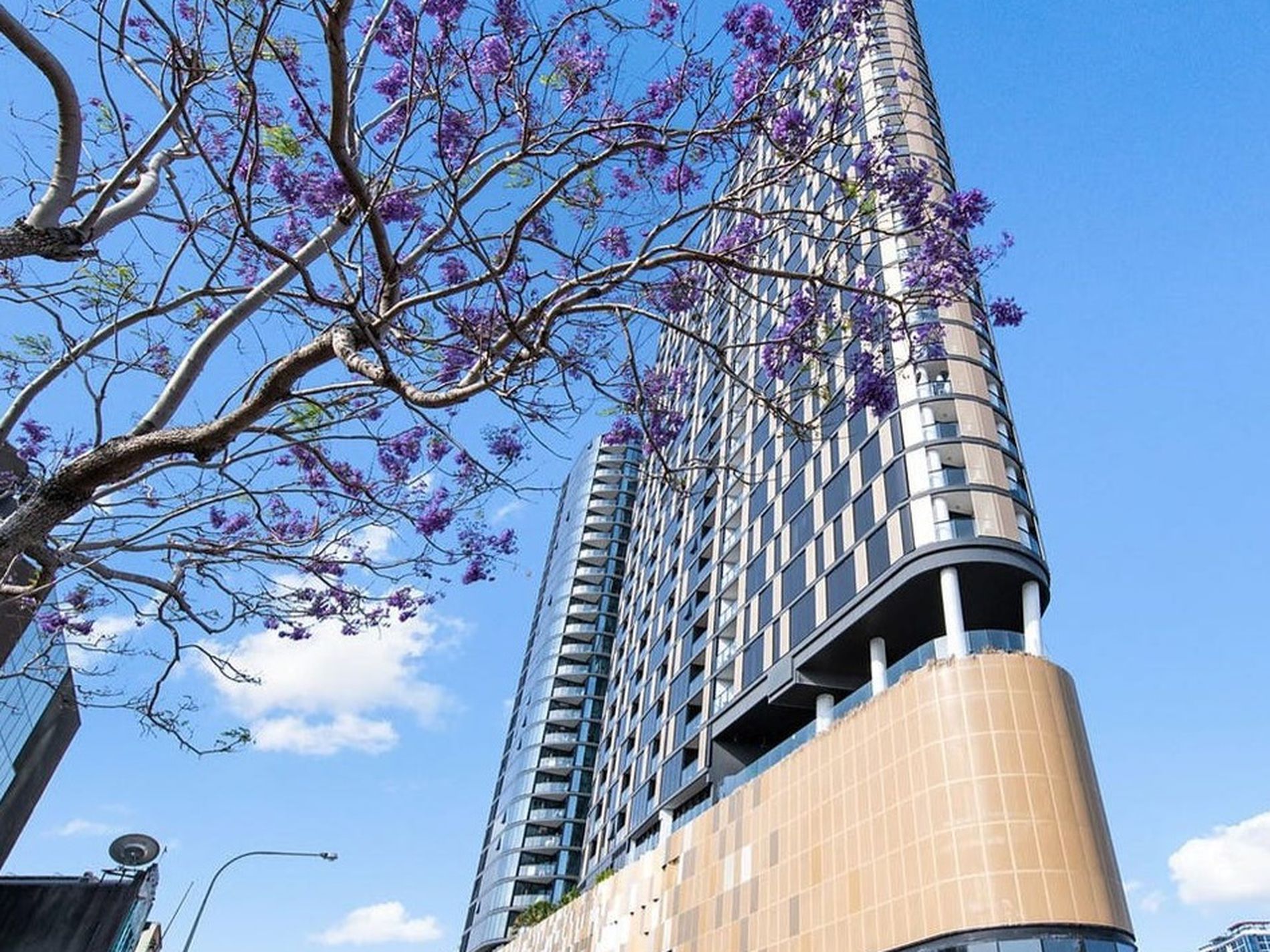 805 / 179 Alfred Street, Fortitude Valley