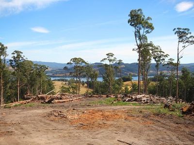 Lots Off Oakfords Road, Lower Wattle Grove
