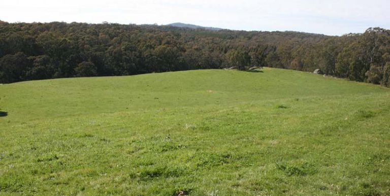 Tames Road, Strathbogie