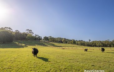 55 Leppitt Road, Pakenham