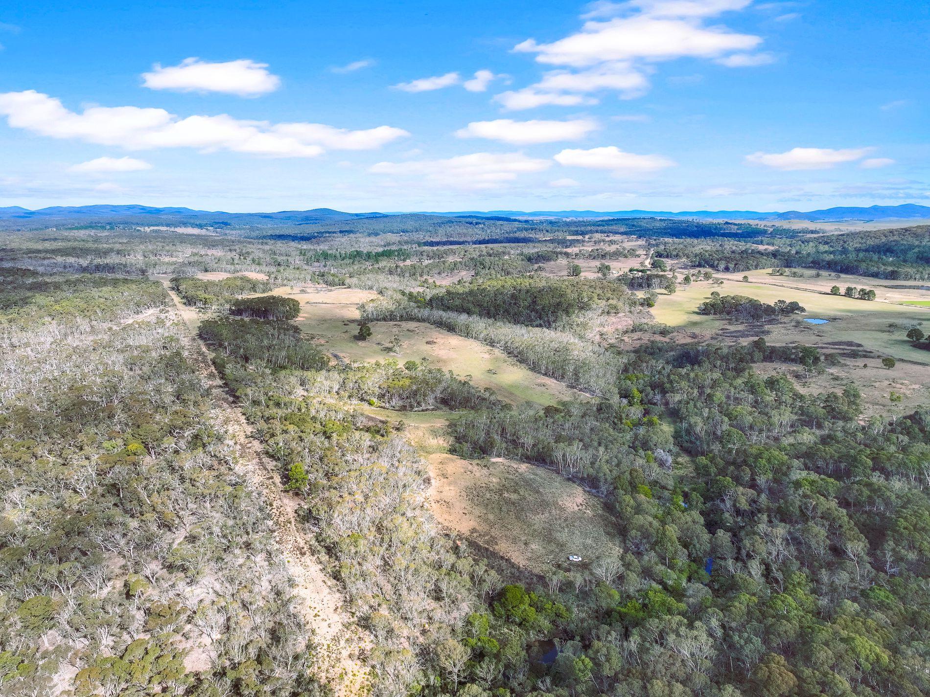 Lot 193 / 443 Back Creek Road, Mongarlowe