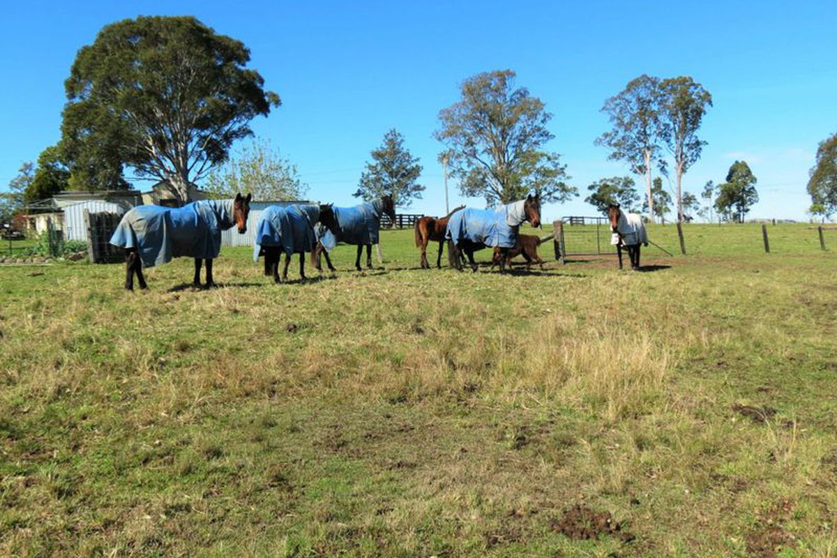 801 Gloucester Road, Wingham