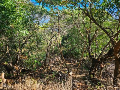 7 Baird Road, Cooktown