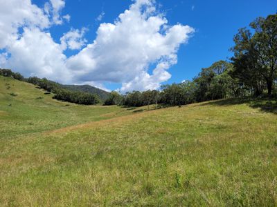 472 Neringla Road, Neringla