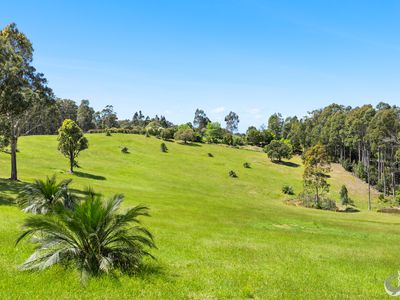 39 Wonga Road, Narooma