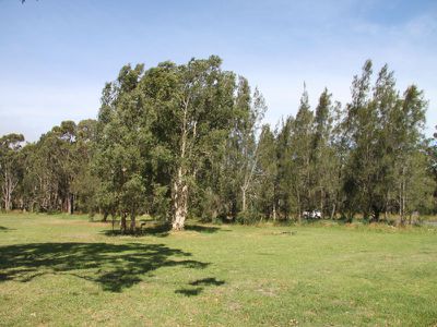 5 Sweetpea Road, Forster