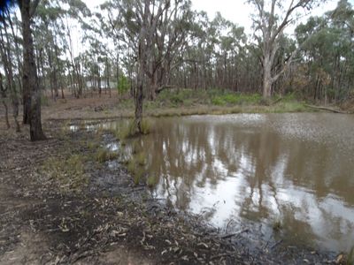 385 East Boundary Road, Murchison