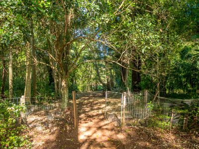 9 Left Bank Road, Mullumbimby