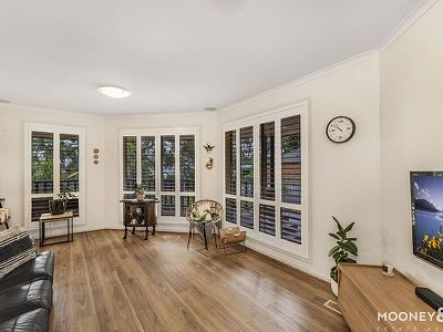 7 Black Wattle Place, Somerville