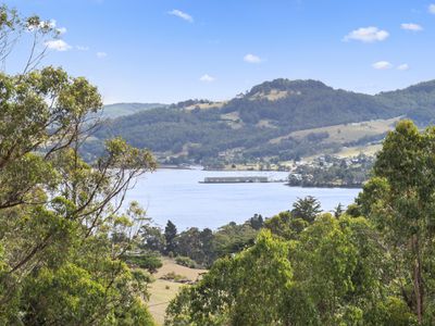 17 Cawthorns Road, Wattle Grove