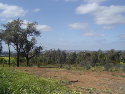 6 Glenabbey Drive, Dubbo