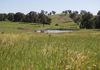 * Boomey Stud Shades Creek Block - Euchareena Road, Molong