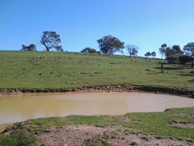 1045 Dairy Flat Road, Heathcote