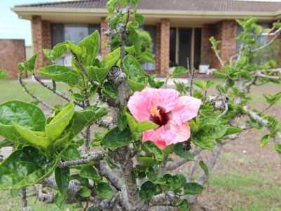 2 Mount View Parade, Tuncurry