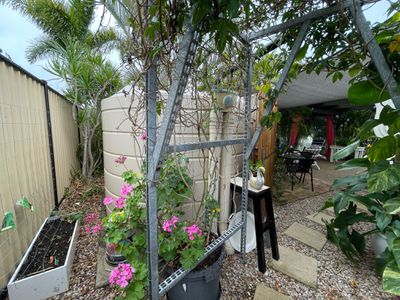 37 Yarrilee Circuit, Dundowran