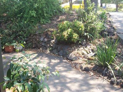 3 Armstrong Ave, Mount Warrigal