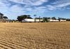 Lot 566 Coolgardie Esperance Highway, Salmon Gums