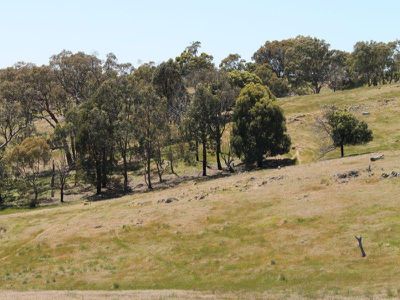 1045 Dairy Flat Road, Heathcote